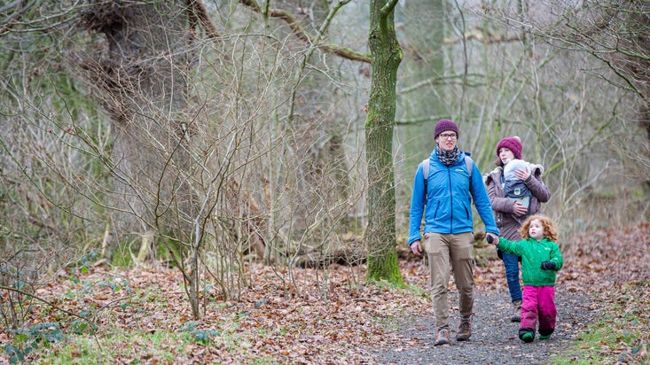Family of four - man in turquoise coat, holding the hand of a toddler in a green coat, and mother with a baby in a papoose wearing a wooly hat - walking through the woods at Acorn Bank.
